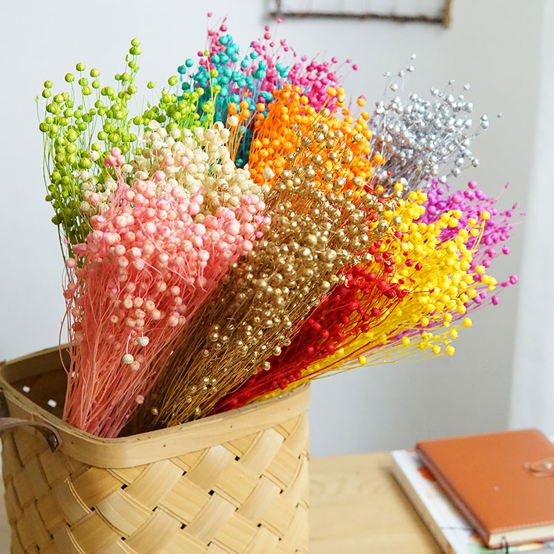 Dried Flower Bouquet - 35 جرام/الأورموسيا المحفوظة Hosiei الزهور الحقيقية
