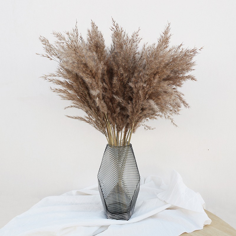 Dried Flower Bouquet - 10 قطع من أعشاب البامباس الطبيعية