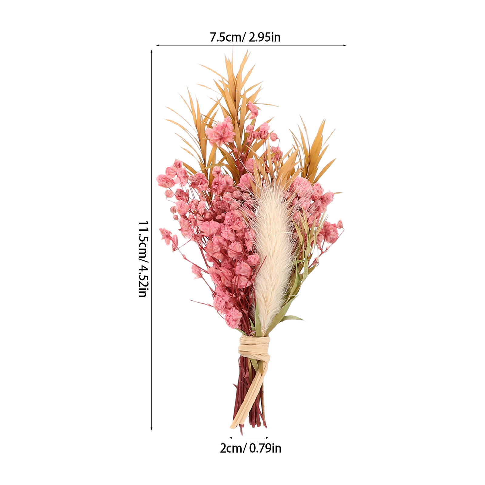 3 قطع باقة زهور مجففة صغيرة طب - مراجعة Dried Flower Bouquet وسعره