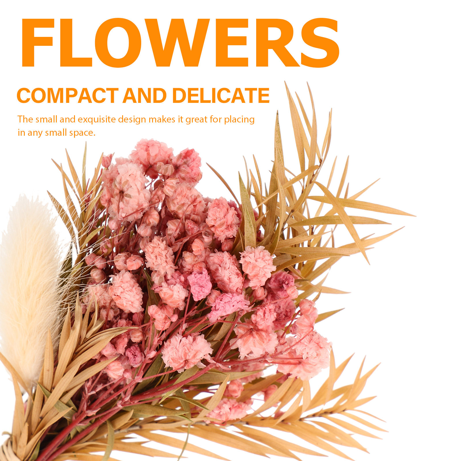 3 قطع باقة زهور مجففة صغيرة طب - مراجعة Dried Flower Bouquet وسعره