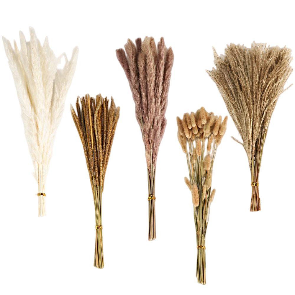 باقة زهور مجففة مختلطة بتصميم  - مراجعة Dried Flower Bouquet وسعره