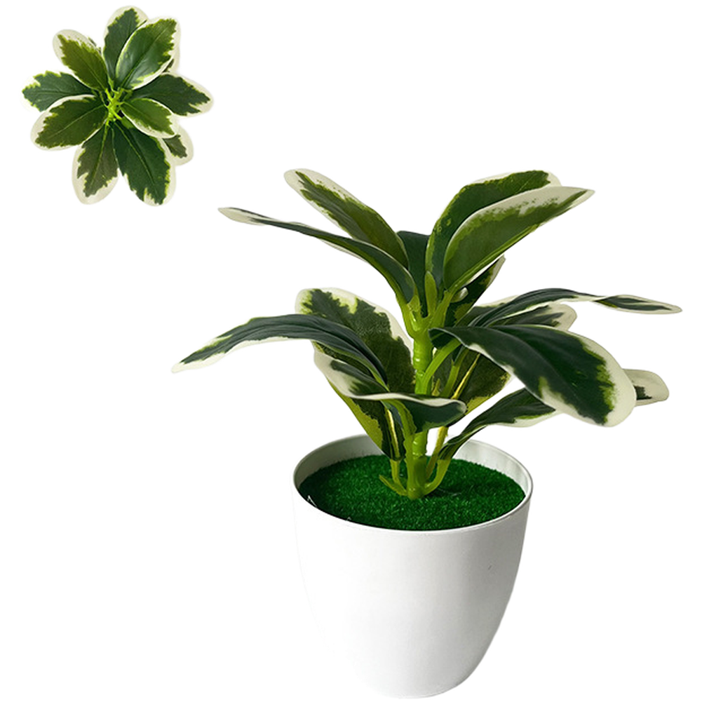 نبات أخضر اصطناعي في وعاء مصمم - مراجعة Home Decor Locations وسعره