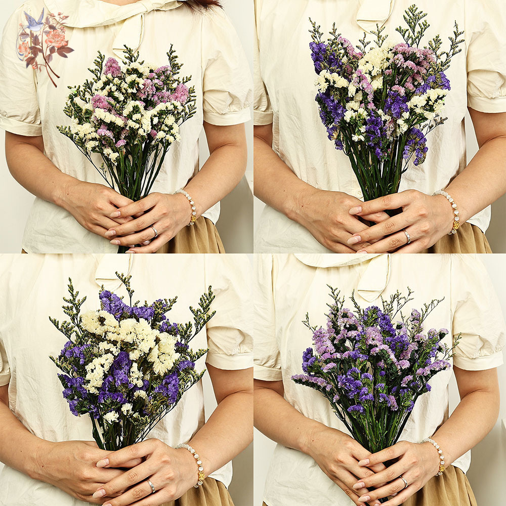 100 جرام طبيعي حقيقي ننسى لي ل - مراجعة Dried Flower Bouquet وسعره